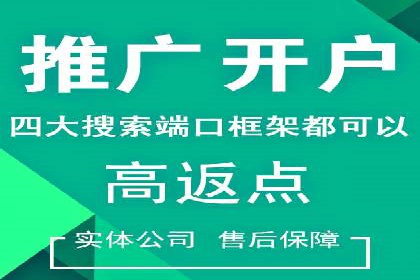 搜索开户返点揭秘：成功案例分享